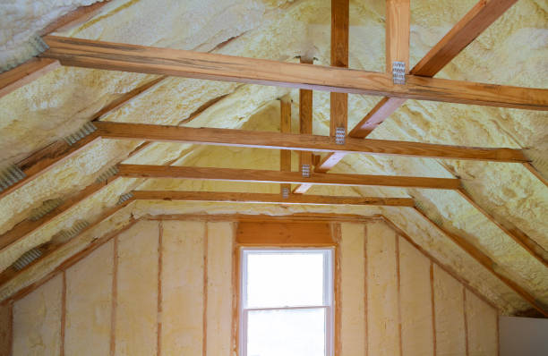 Best Insulation Contractors for Homes  in Nedrow, NY