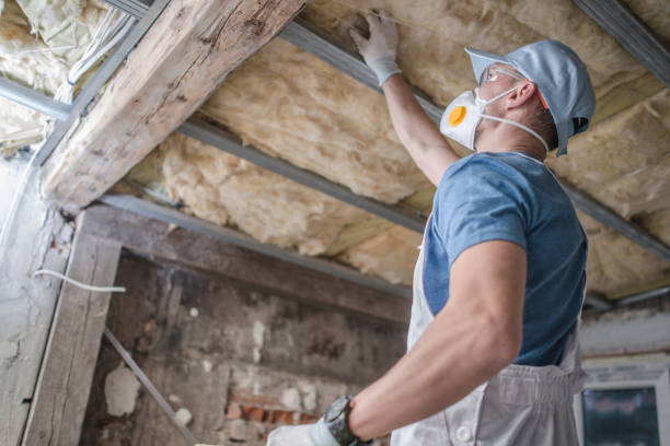 Best Insulation Contractor Near Me  in Nedrow, NY