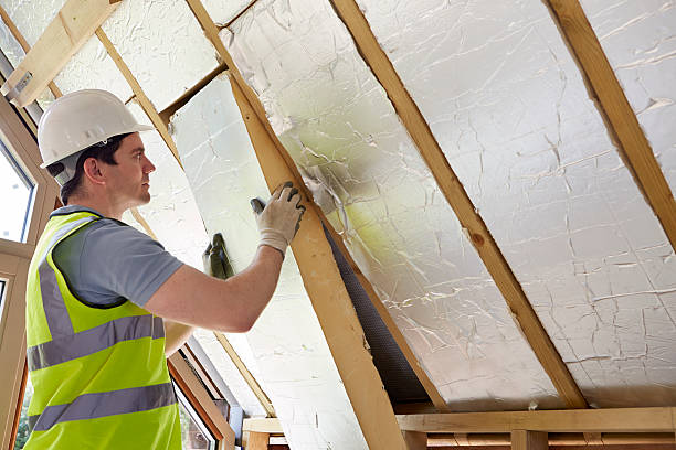 Best Residential Insulation Services  in Nedrow, NY